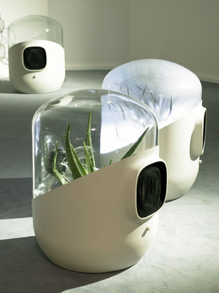 Illustration for article titled Bel-Air Filtration System Uses Plants to Purify Our Environs